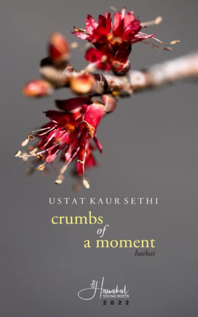 crumbs of a moment: haikai