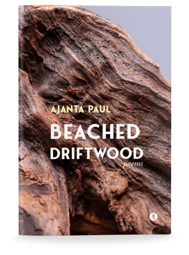Beached Driftwood: poems